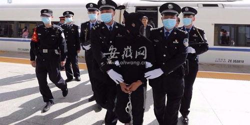 淮南警方最新爆料,揭秘重大案件背后惊人内幕 第3张 淮南警方最新爆料,揭秘重大案件背后惊人内幕 第3张