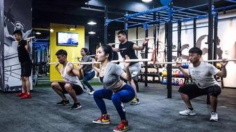 最近健身房爆料视频大全,揭秘健身圈幕后真相与趣事